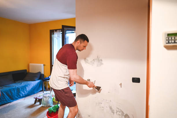Best Fast Mold Removal  in Northwest Harbor, NY
